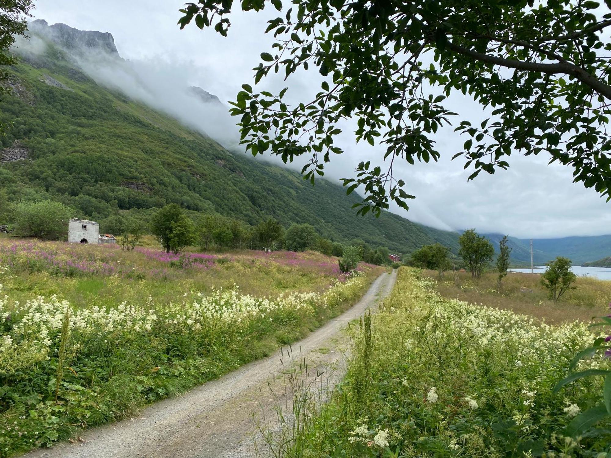 Urda Wilderness Houseヴィラ エクステリア 写真